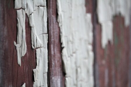 Texture old wooden