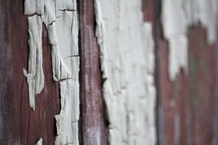 Texture old wooden photo