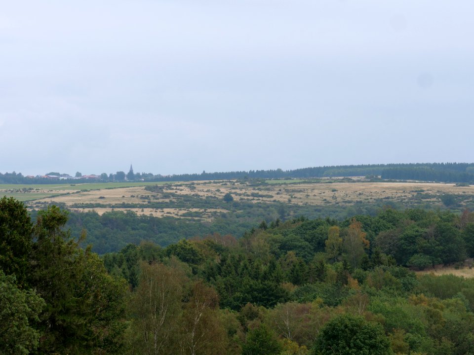View from trail from Gierberg to Müsauelsberg in September 2019 03