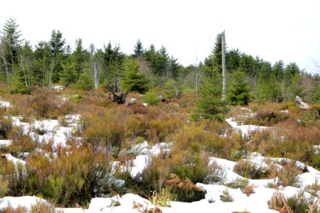 View from track Unterstmatt to Ochsenstall 2020-03-14 16
