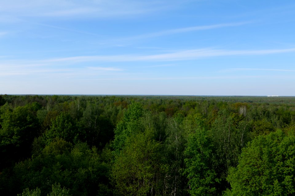 View from Döberitzer Heide Finkenberg observation tower 2020-05-08 35