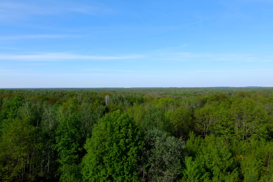 View from Döberitzer Heide Finkenberg observation tower 2020-05-08 20