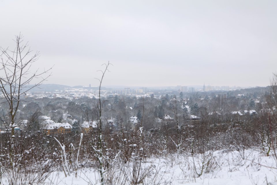 View from Deponie Wannsee with snow 2021-01-30 15