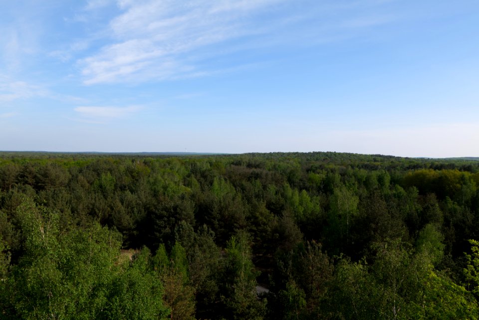 View from Döberitzer Heide Finkenberg observation tower 2020-05-08 26
