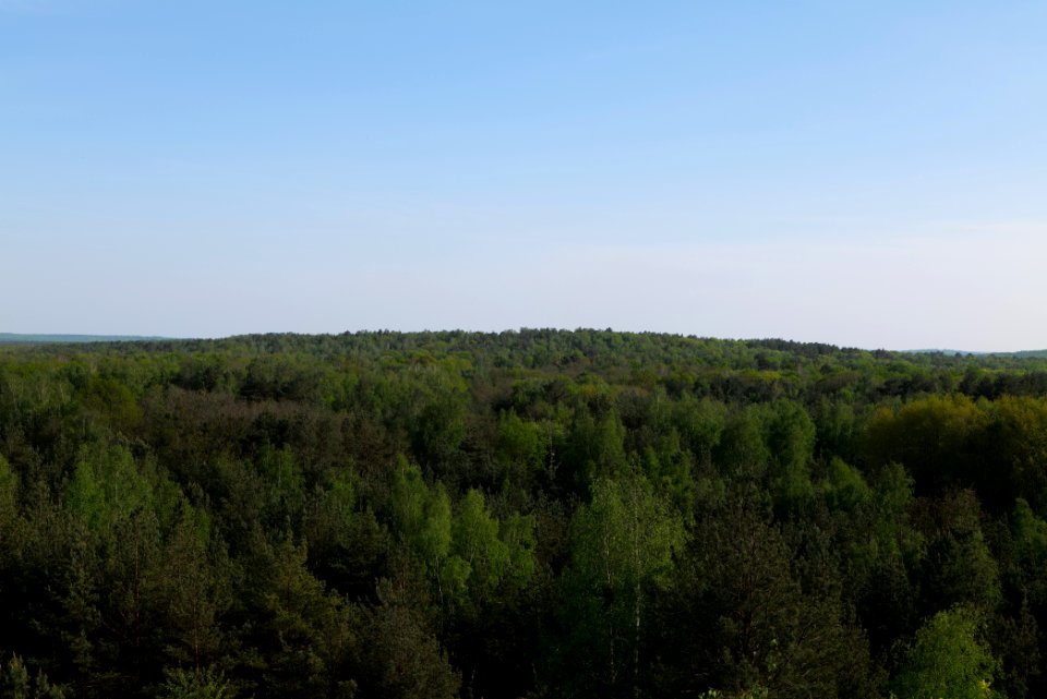 View from Döberitzer Heide Finkenberg observation tower 2020-05-08 31