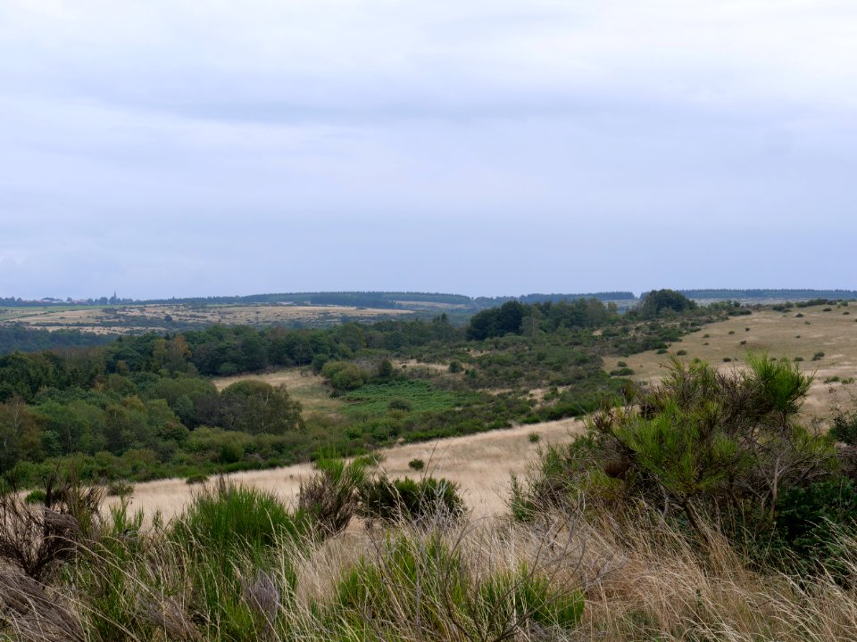 View from trail from Gierberg to Müsauelsberg in September 2019 11