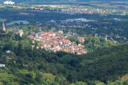 View from Dettweiler Tempel Burghain Falkenstein 2020-08-18 10