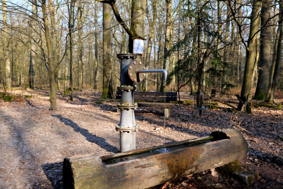 View from Jagdhüttenweg Kronberg 2020-03-25 15