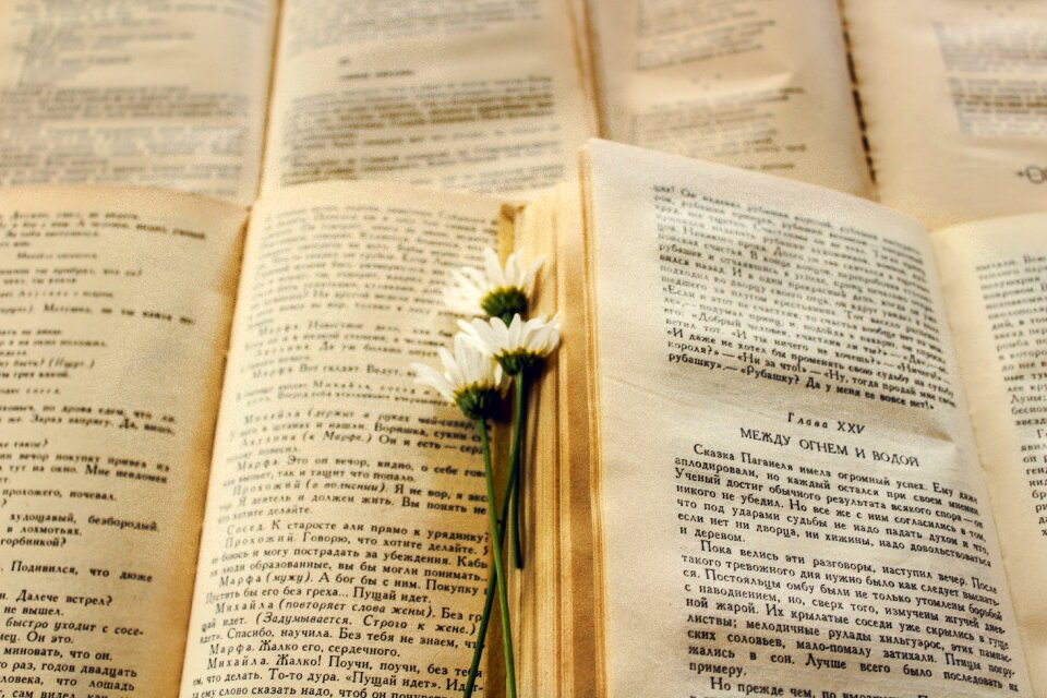 Book old book beautiful