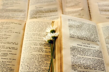 Book old book beautiful photo