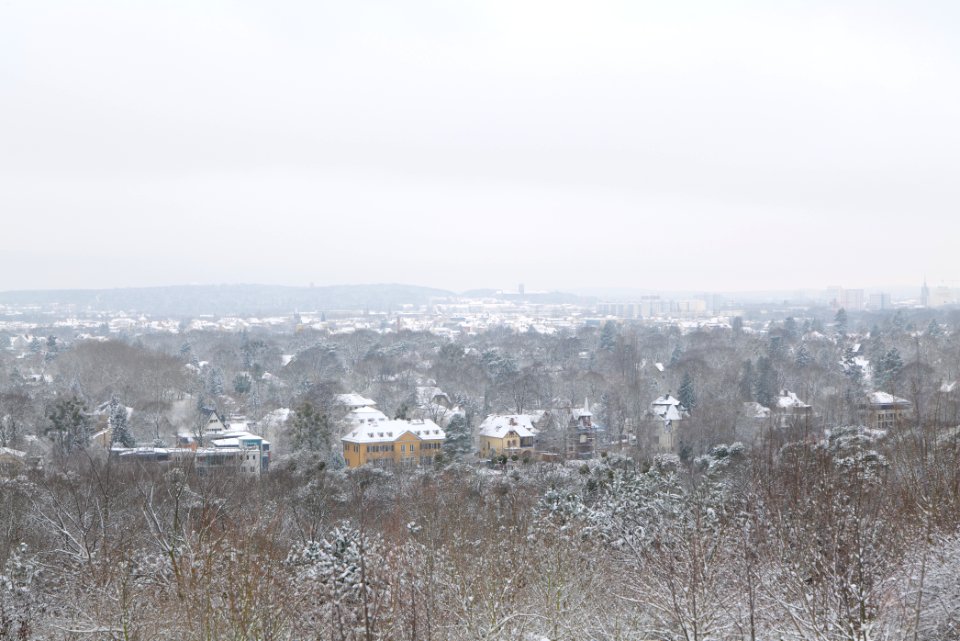 View from Deponie Wannsee with snow 2021-01-30 12