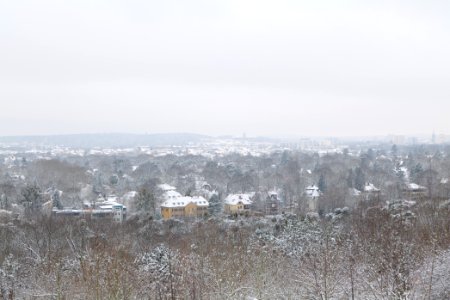View from Deponie Wannsee with snow 2021-01-30 12