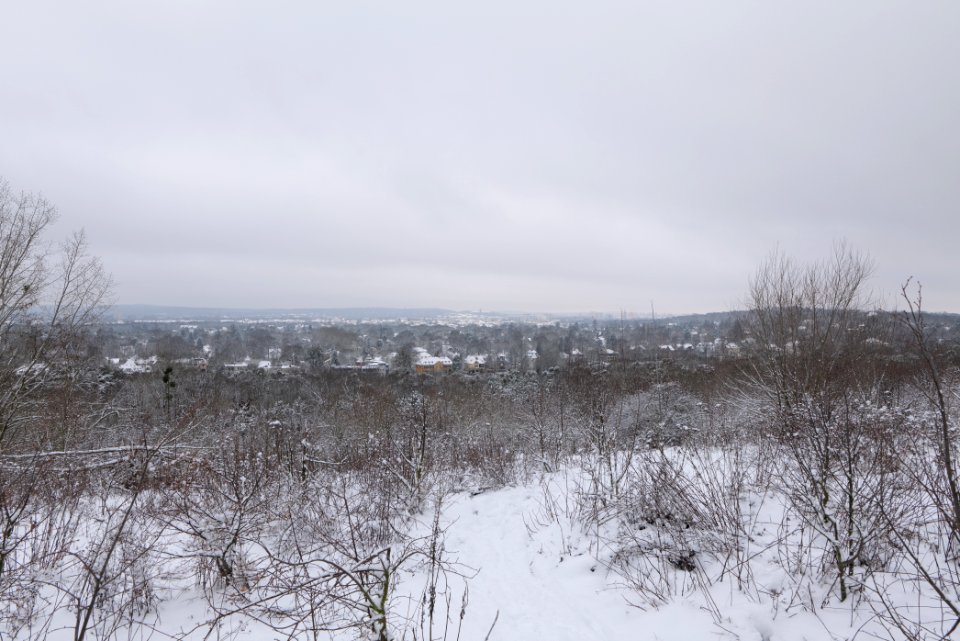 View from Deponie Wannsee with snow 2021-01-30 07