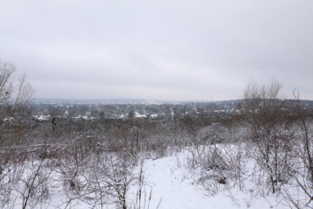 View from Deponie Wannsee with snow 2021-01-30 06