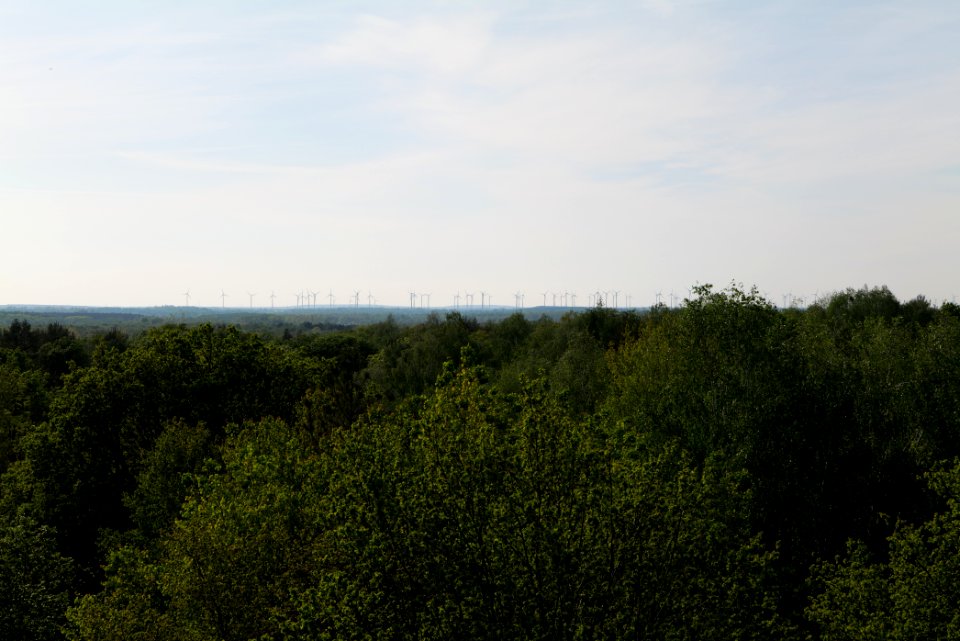 View from Döberitzer Heide Finkenberg observation tower 2020-05-08 34