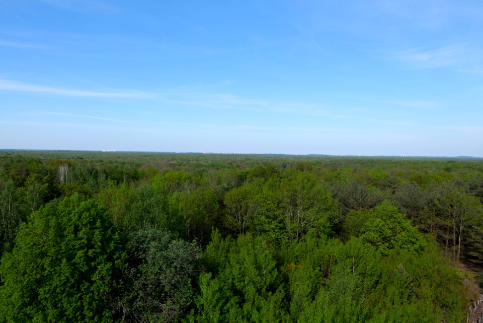 View from Döberitzer Heide Finkenberg observation tower 2020-05-08 28