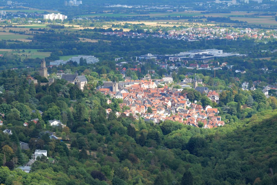 View from Dettweiler Tempel Burghain Falkenstein 2020-08-18 02