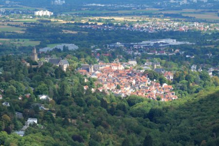 View from Dettweiler Tempel Burghain Falkenstein 2020-08-18 02