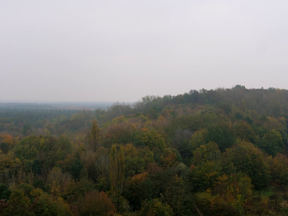 View from Drachenberg 2019-10-24 34