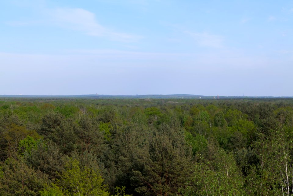 View from Döberitzer Heide Finkenberg observation tower 2020-05-08 30