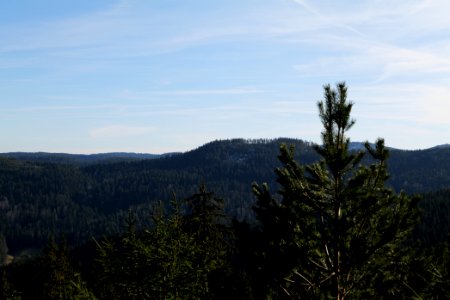 View from Kirchweg Northern Black Forest 2020-03-15 35