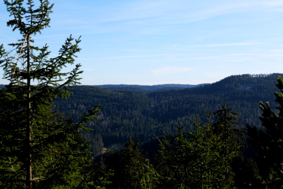 View from Kirchweg Northern Black Forest 2020-03-15 33