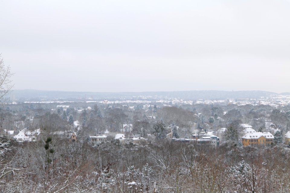 View from Deponie Wannsee with snow 2021-01-30 09