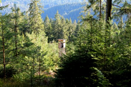 View from Kirchweg Northern Black Forest 2020-03-15 36