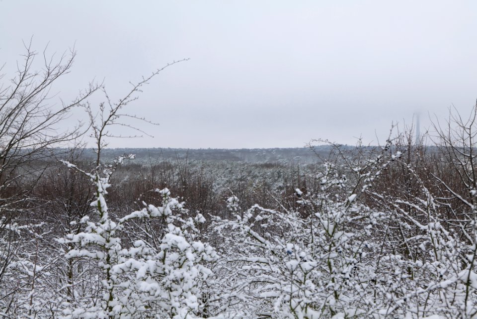 View from Deponie Wannsee with snow 2021-01-30 05