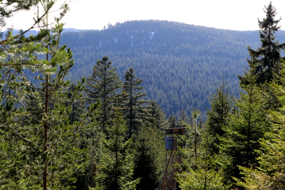 View from Kirchweg Northern Black Forest 2020-03-15 31