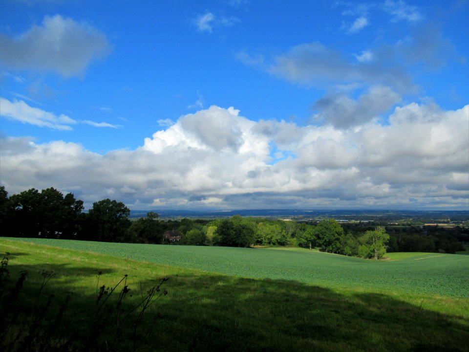 View from Crook Rd, Brenchley 01