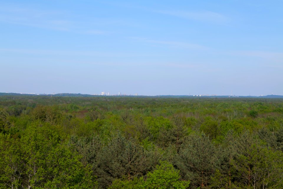 View from Döberitzer Heide Finkenberg observation tower 2020-05-08 19