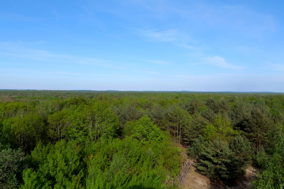 View from Döberitzer Heide Finkenberg observation tower 2020-05-08 18