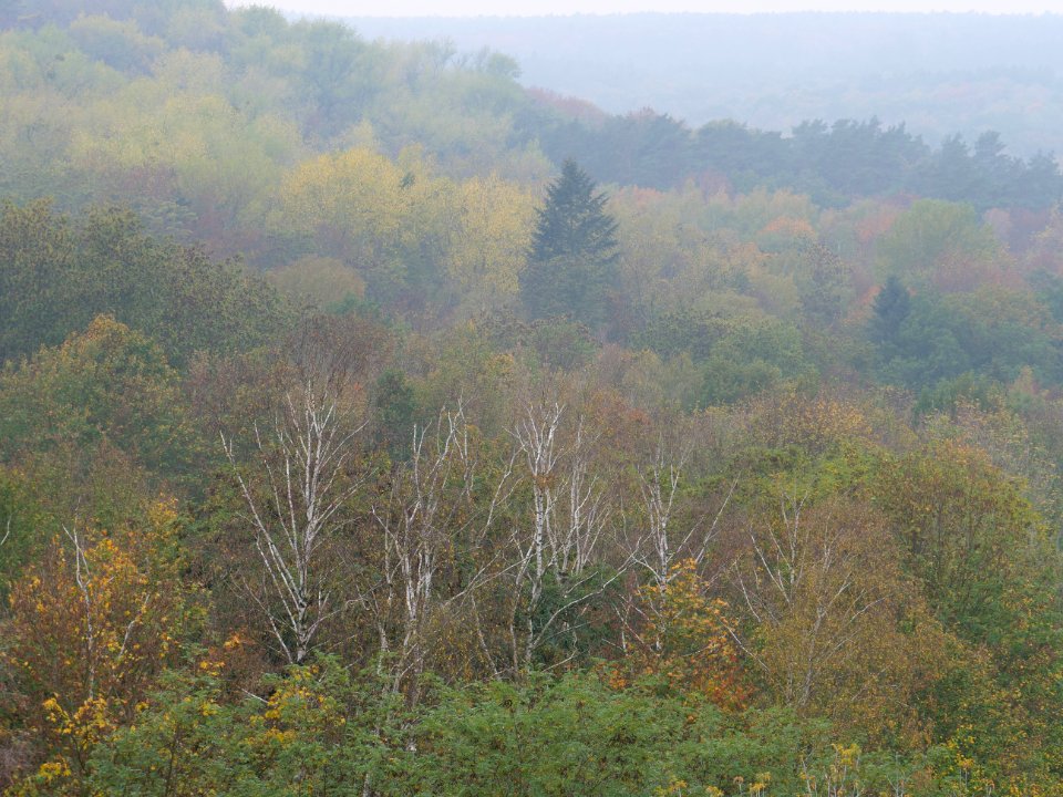 View from Drachenberg 2019-10-24 38
