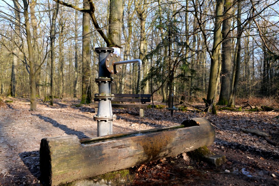 View from Jagdhüttenweg Kronberg 2020-03-25 16