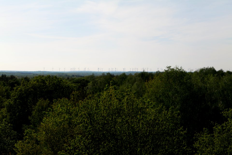 View from Döberitzer Heide Finkenberg observation tower 2020-05-08 33