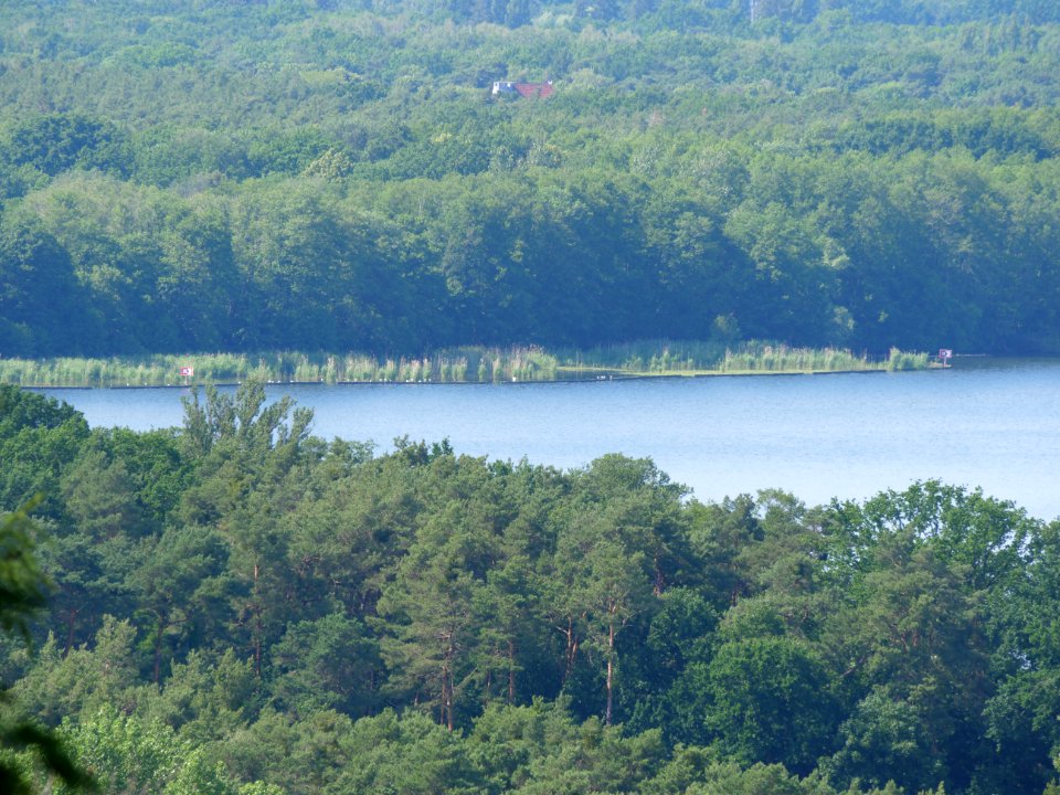 View from Müggelberge viewpoint 2019-06-13 11