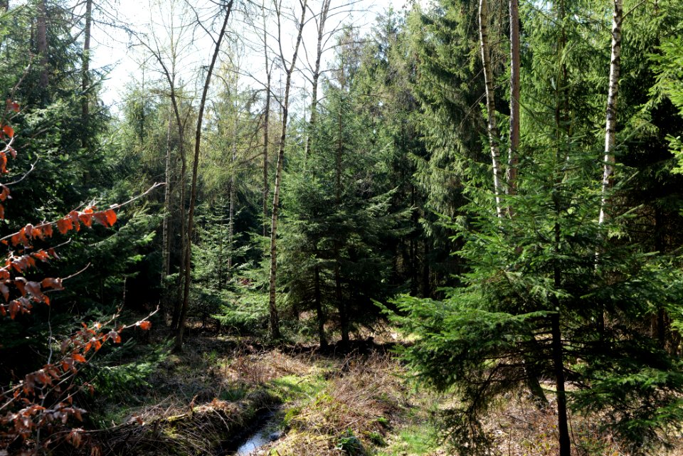 View from Limes trail Taunus Wehrheim 2021-04-02 26