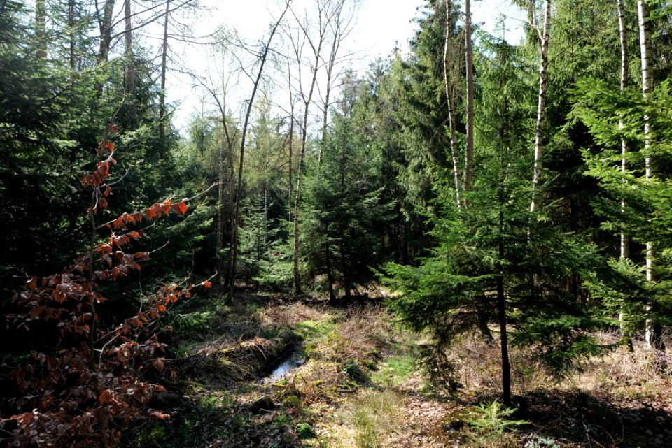 View from Limes trail Taunus Wehrheim 2021-04-02 25