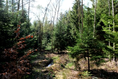 View from Limes trail Taunus Wehrheim 2021-04-02 25