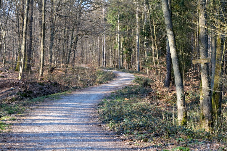 View from Jagdhüttenweg Kronberg 2020-03-25 10