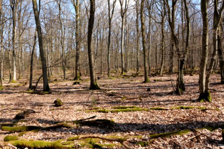 View from Limes trail Taunus Wehrheim 2021-04-02 16