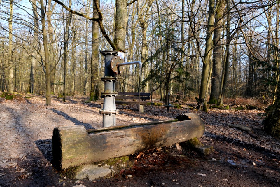 View from Jagdhüttenweg Kronberg 2020-03-25 17