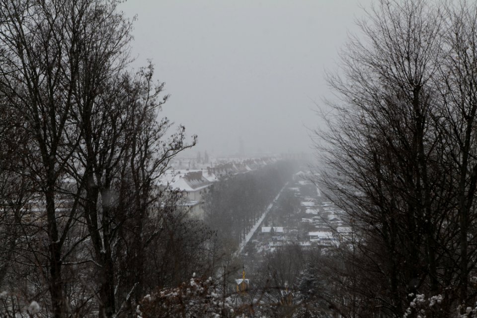 View from Insulaner with snow 2021-02-08 02
