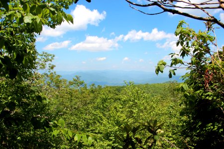 View from Jacks Knob Trail, Brasstown Bald, May 2019 2