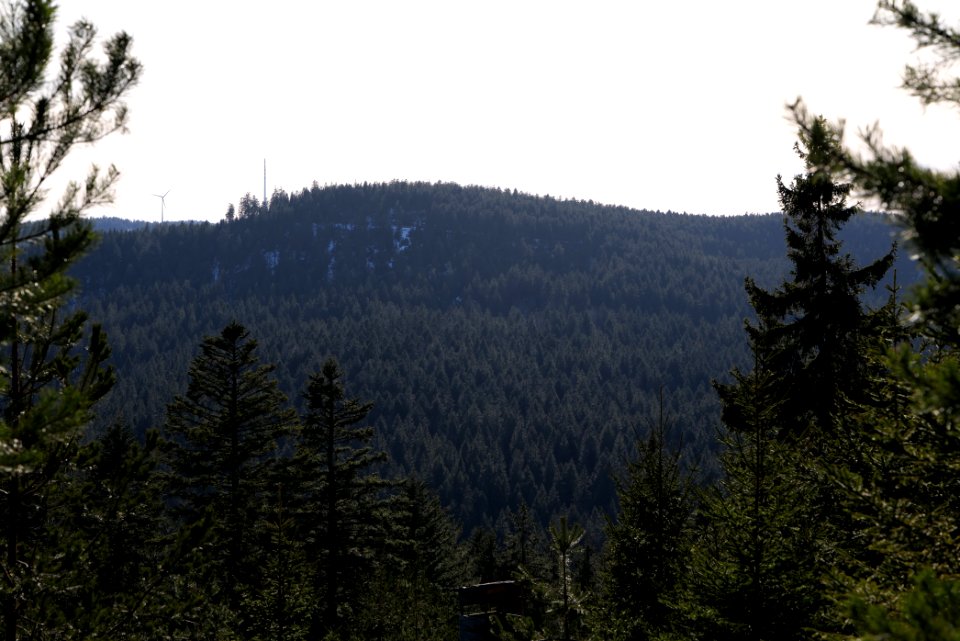 View from Kirchweg Northern Black Forest 2020-03-15 27