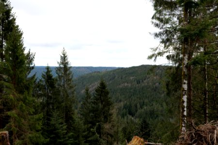 View from Kleemißweg 2020-03-11 01
