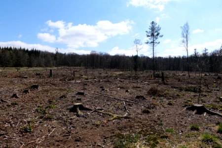 View from Limes trail Taunus Ober-Mörlen 2021-04-02 22