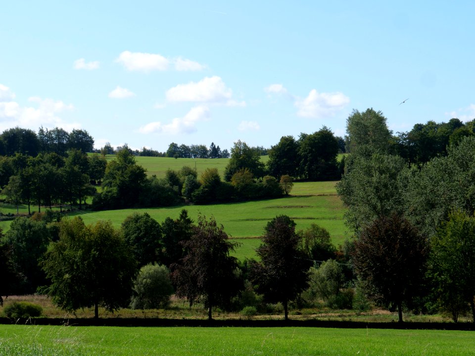 View from Bergstraße near Lammersdorf 06