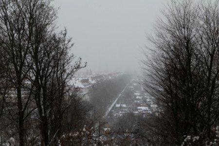 View from Insulaner with snow 2021-02-08 03